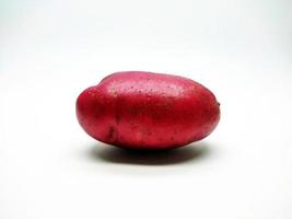 Red potato isolated on white background photo