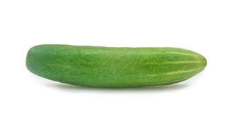 Single green fresh cucumber vegetable isolated on white background with clipping path photo