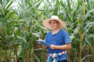 asiático hombre granjero usa sombrero, azul camisa, sostiene papel bloc a escribir acerca de crecimiento y enfermedades de plantas en jardín. concepto, agricultura investigación. inspeccionando y tomando cuidado de cultivos foto