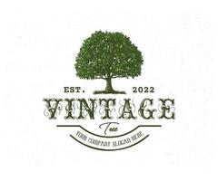 Oak tree logo design vintage style , Vector logo design