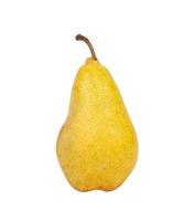 pears isolated on white background. ripe yellow pear photo