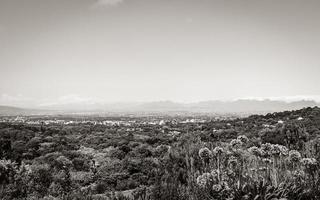 Panoramic view of Cape Town and nature, Kirstenbosch. photo