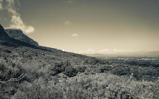 Panoramic view of Cape Town and nature, Kirstenbosch. photo