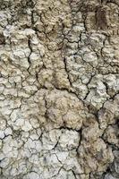 Dry soil due to drought photo