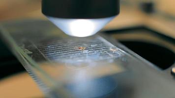 närbild sida se av en testa ämne prov under en mikroskop. video