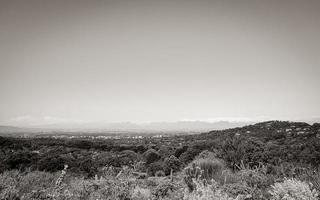 Panoramic view of Cape Town from Kirstenbosch National Botanical Garden. photo