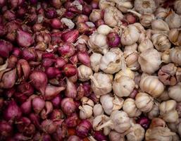 Garlic and Shallots Background photo
