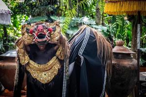 Balinese Young Performer photo