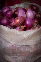 Bag of Shallots photo