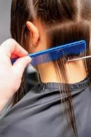Hair Cutting Stock Photos, Images and Backgrounds for Free Download Hair Cutting Stock Photos, Images and Backgrounds for Free Download