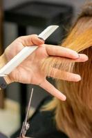 Hairdresser cuts hair to young woman photo