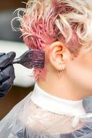 Hairdresser dyeing hair in pink color photo