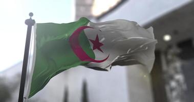 Algeria national flag, country waving flag. Politics and news illustration video