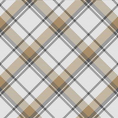 Seamless pattern of scottish tartan plaid. Repeatable background with check fabric texture. Vector backdrop striped textile print.