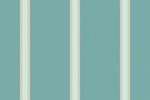 Vertical lines stripe background. Vector stripes pattern seamless fabric texture. Geometric striped line abstract design.