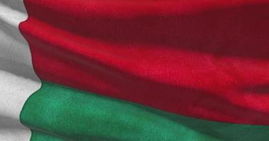Madagaskar National Flagge Nahansicht winken Animation Hintergrund video