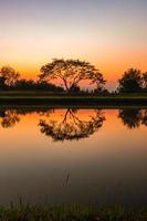 Trees by the canal at sunset, water reflection photo