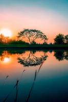 Trees by the canal at sunset, water reflection photo