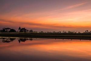 Trees by the canal at sunset, water reflection photo