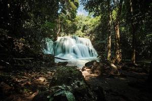 el hermosa cascada en profundo bosque foto