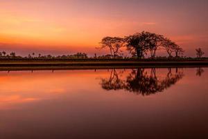 Trees by the canal at sunset, water reflection photo