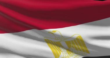 Egypte nationaal vlag detailopname golvend animatie achtergrond video