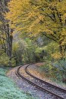 railroad in autumn forest photo