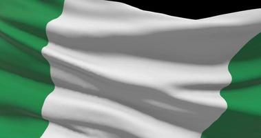 Nigeria National Flagge Nahansicht winken Animation Hintergrund video