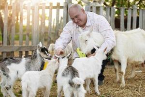 Farmer with goats. An elderly man is engaged in animal husbandry, works on a farm, feeds livestock. photo
