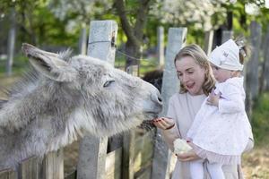 Mom with a little daughter feeds a donkey. A woman with a child on a farm. photo