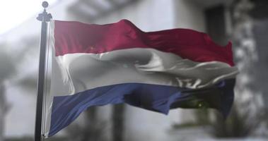 Nederland nationaal vlag, land golvend vlag. politiek en nieuws illustratie video