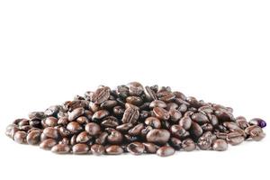 Coffee Beans isolated on white background area for copy space. photo