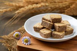 square chocolate wafer biscuits in white dish with flower barley background photo