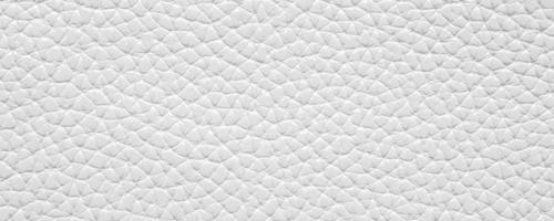 White leather texture luxury background photo