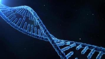 Doppio elica dna molecolare filo rotante nel un' 3d spirale video