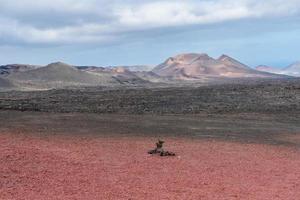 Timanfaya National Park photo