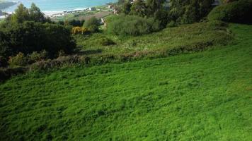 met gras begroeid heuvels en groen bomen met vegen oceaan keer bekeken en kust- stad- in de achtergrond. - antenne onthullen video