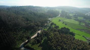 antenn flygande över naturskön väg i tät skog och kullar i koruna, Spanien. video
