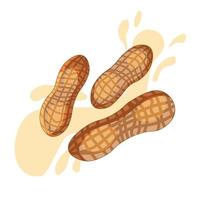 Peanut nuts in shell.Peanut butter logo vector