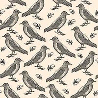 Engraving hand drawn birds sketch pattern. Black starlings on background. Vector fauna illustration. Template for luxury textiles, paper