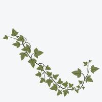 Floral ivy drawing decorative ornament flat design. Vector illustration.