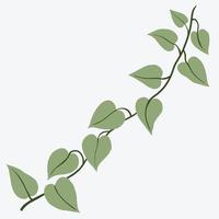 Floral ivy drawing decorative ornament flat design. vector