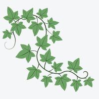 Floral ivy drawing decorative ornament flat design. vector