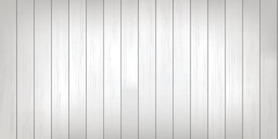 White wood pattern and texture for background. Vector. vector