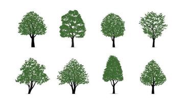 Set of green tree isolated on white background for landscape design and architectural compositions with backgrounds. Vector illustration.