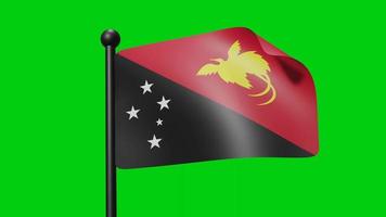 Papua New Guinea Flag Waving in Slow Motion on the green background. 3D Render Flag. National Day Celebration video