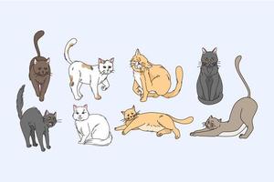 Variety of cats animals concept. Set of grey red white and brown cats stretching sitting lying relaxing and enjoying life vector illustration