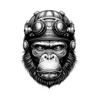 gorilla with helmet logo illustration portrays a powerful and intimidating ape wearing a helmet, representing strength, resilience, and defense vector