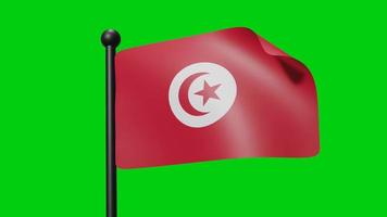 drapeau tunisien agitant au ralenti sur le fond vert. Drapeau de rendu 3D. célébration de la fête nationale video