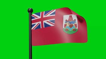 Drapeau 3d des bermudes agitant au vent sur écran vert avec luma matte video